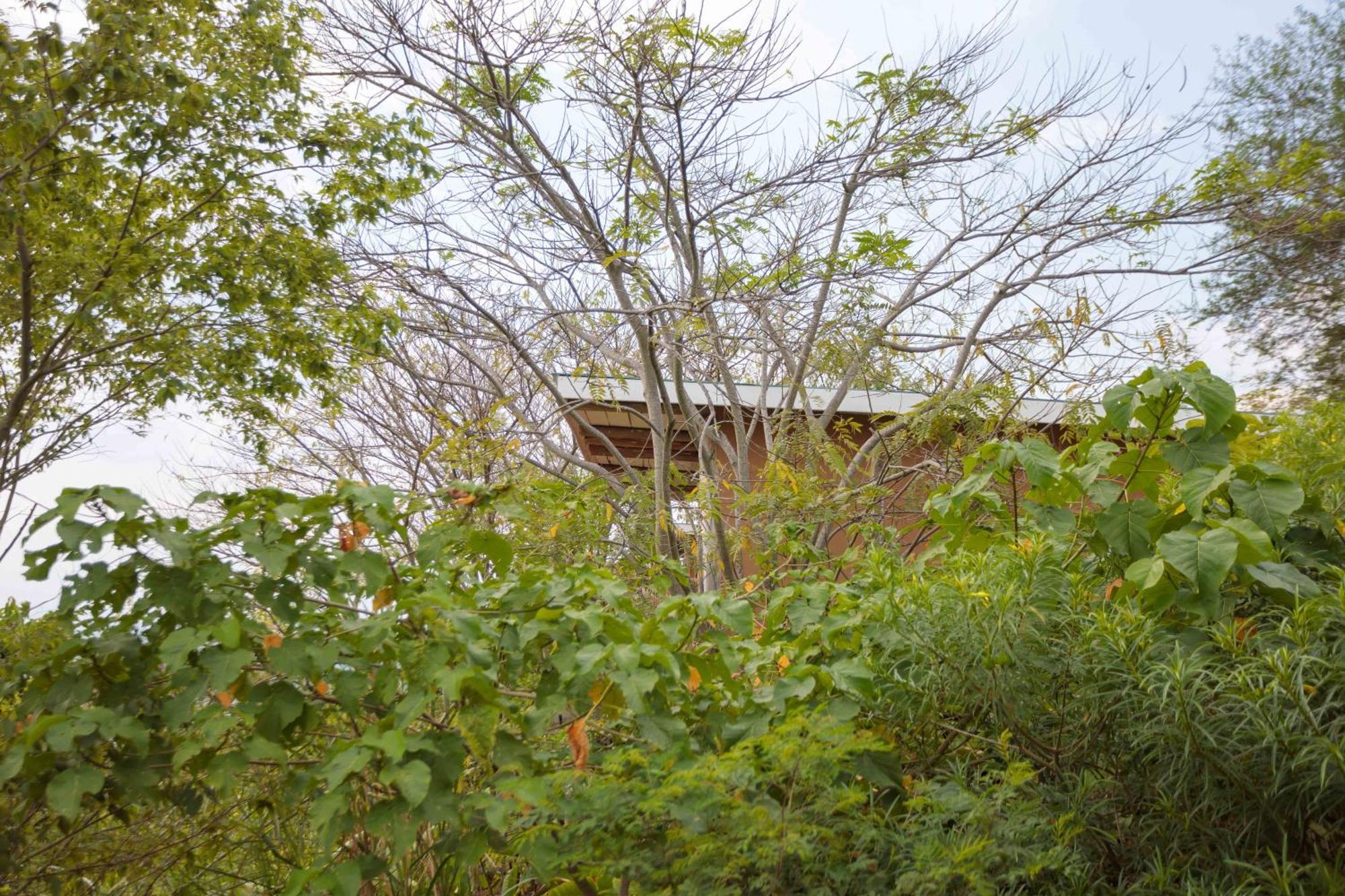 Lake Mwamba Lodge Kasenda Exterior foto